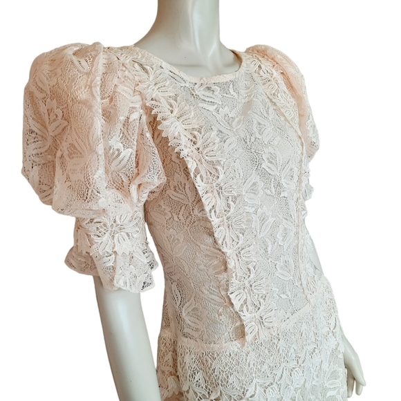 Vintage Early 90s Sheer Lace Dress size Small Puff Sleeve Drop Waist Unlined - Picture 2 of 9